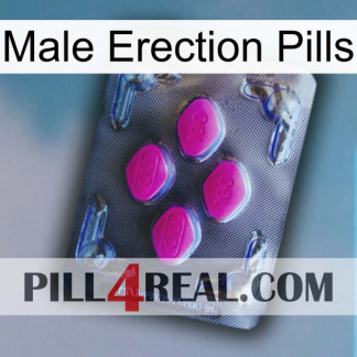 Male Erection Pills 02